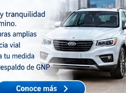 Imagen ilustrativa de automóvil